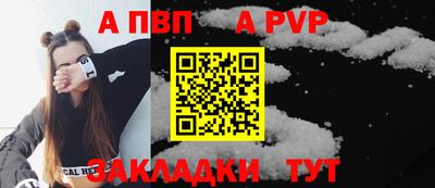 хмурый Кингисепп