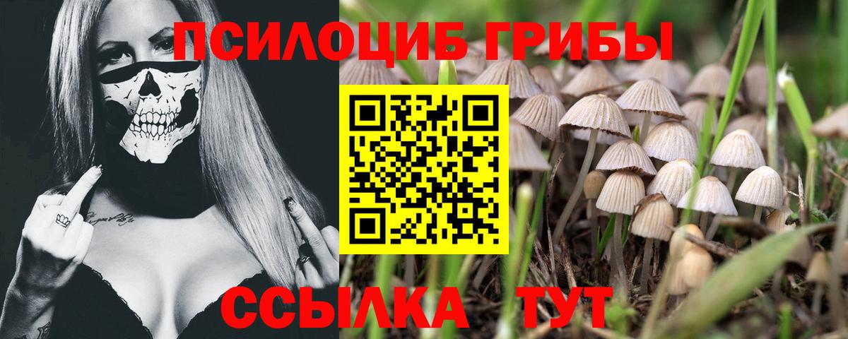 Галлюциногенные грибы ЛСД  Вход с VPN  Кольчугино 