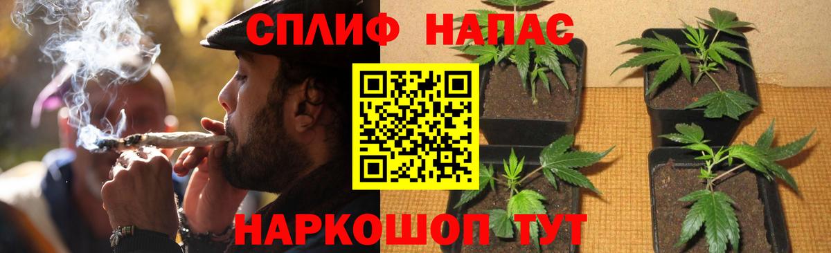 Каннабис планчик  МАРИХУАНА марихуана  МАРИХУАНА Bruce Banner  Вход с VPN  Канабис Ganja  Кольчугино 